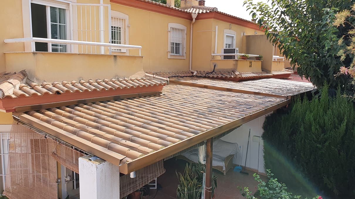 teja-ironlux-albero-envejecido