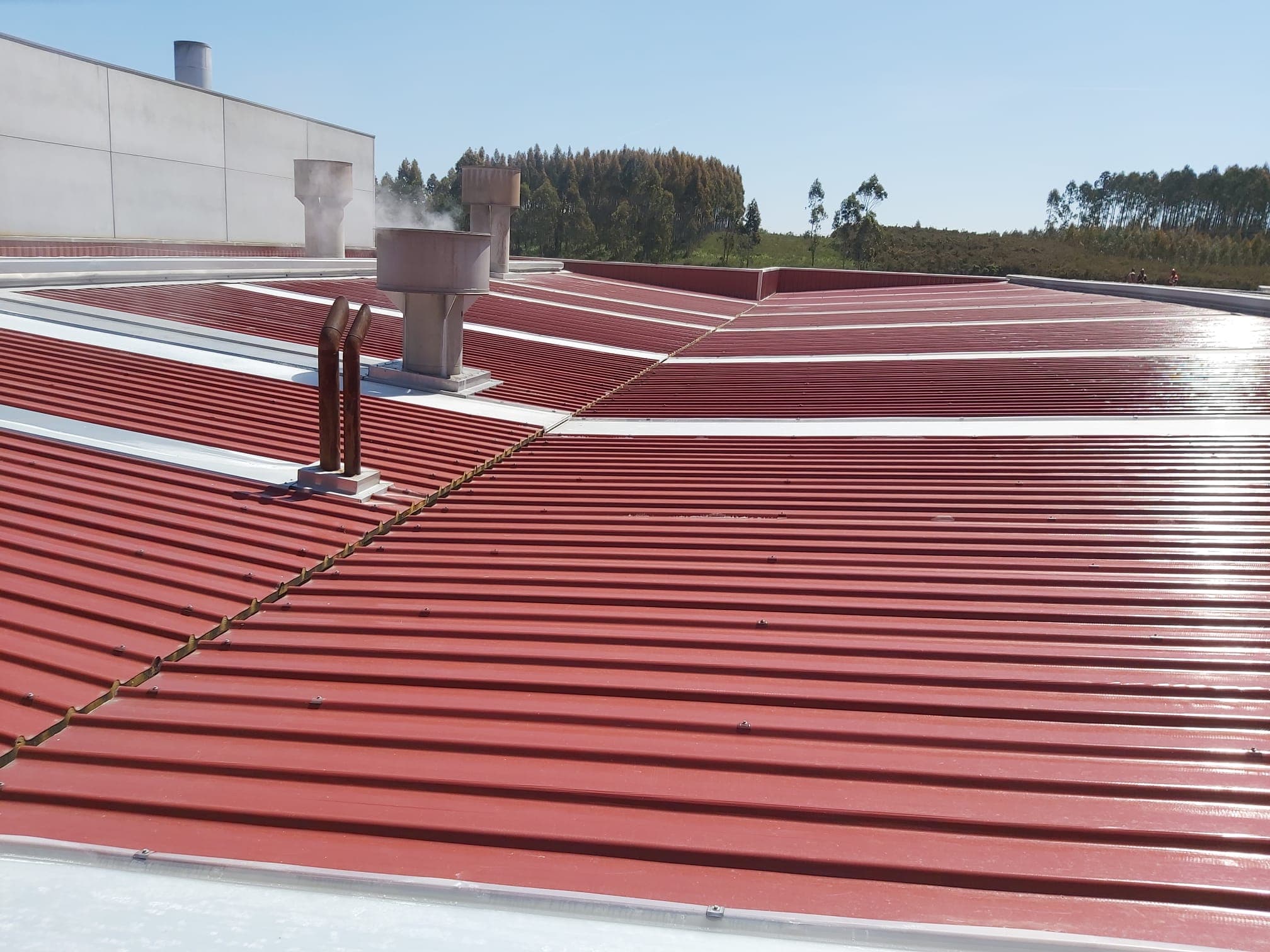 Reforma Cubierta Panel Anticorrosión para ambientes agresivos